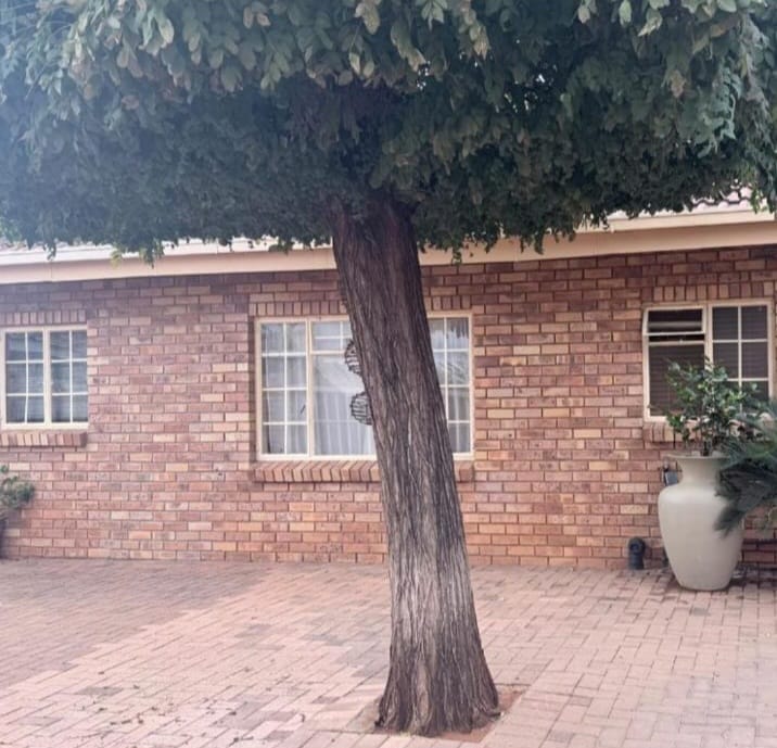 3 Bedroom Property for Sale in Rhodesdene Northern Cape
